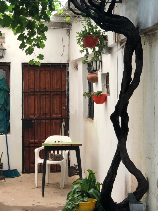 an old home with a garden and patio with several pots