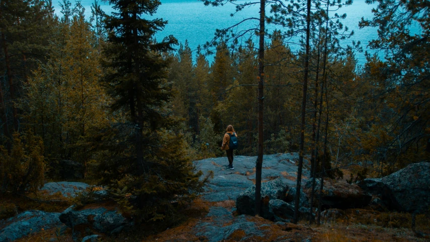 a man walking through a forest of trees