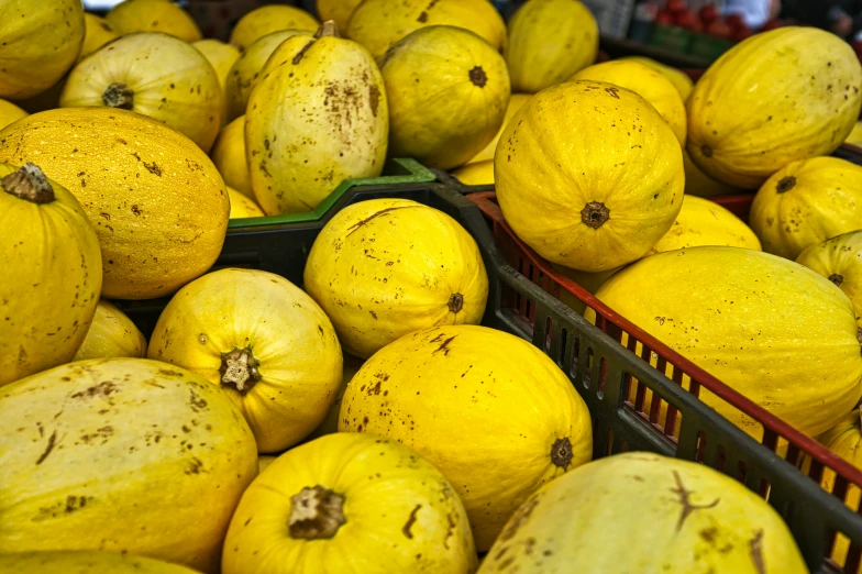 a group of gourds are displayed in a supermarket