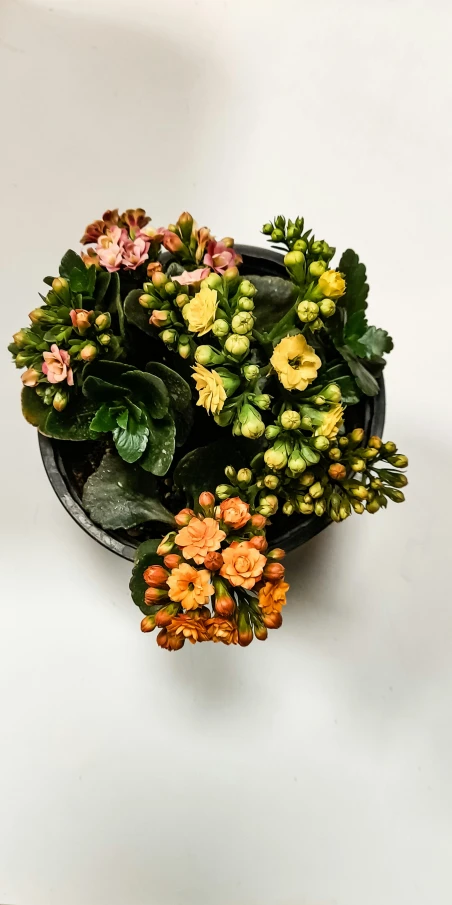 some orange and yellow flowers are in a black bowl