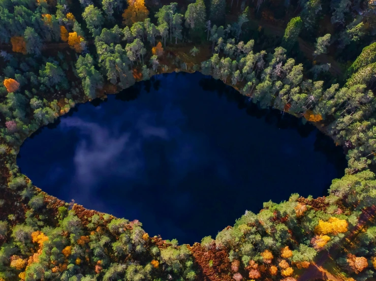 a po taken from above looking down into a small, wooded lake