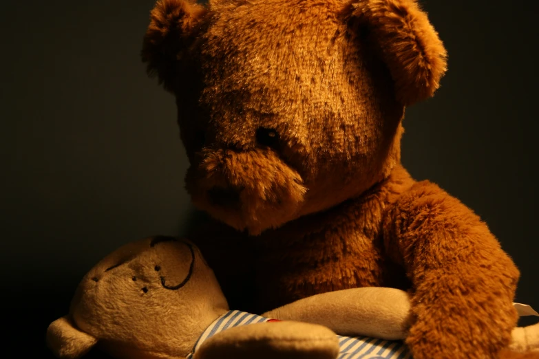a teddy bear laying with a baby teddy bear