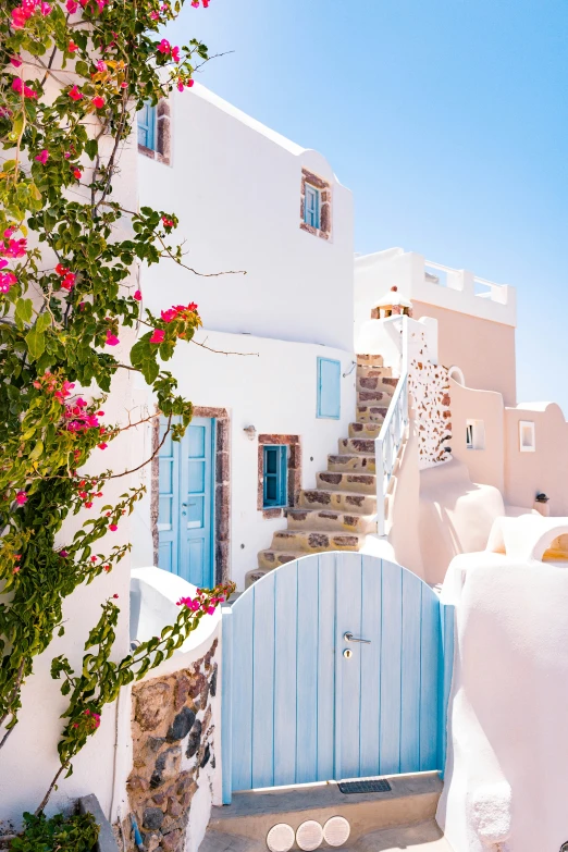 some stairs and flowers grow outside a house