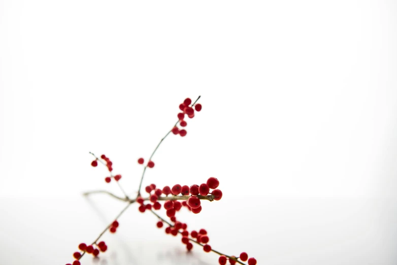 an array of small red berries are arranged in this close up po