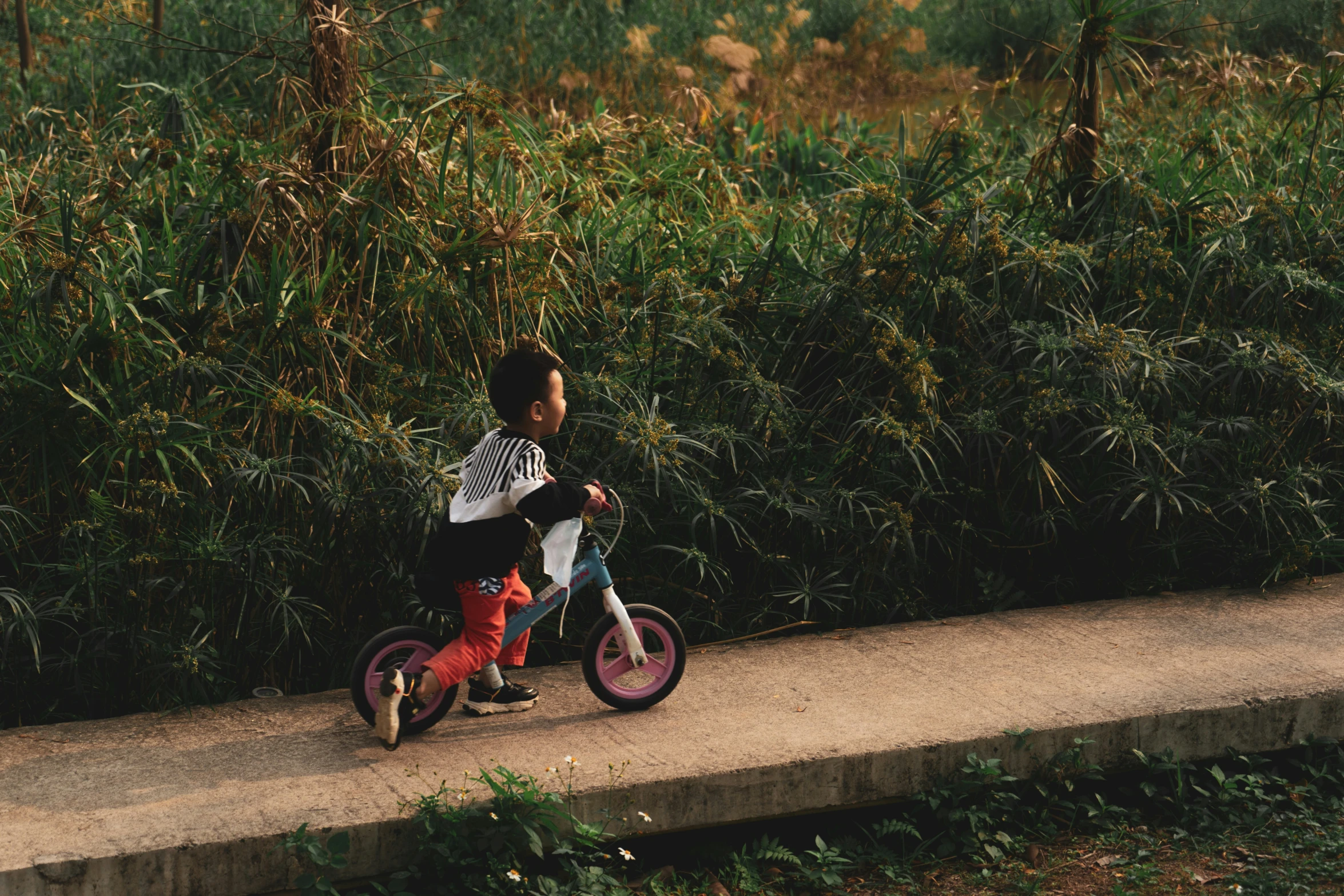 the boy is riding his pink bike down the street