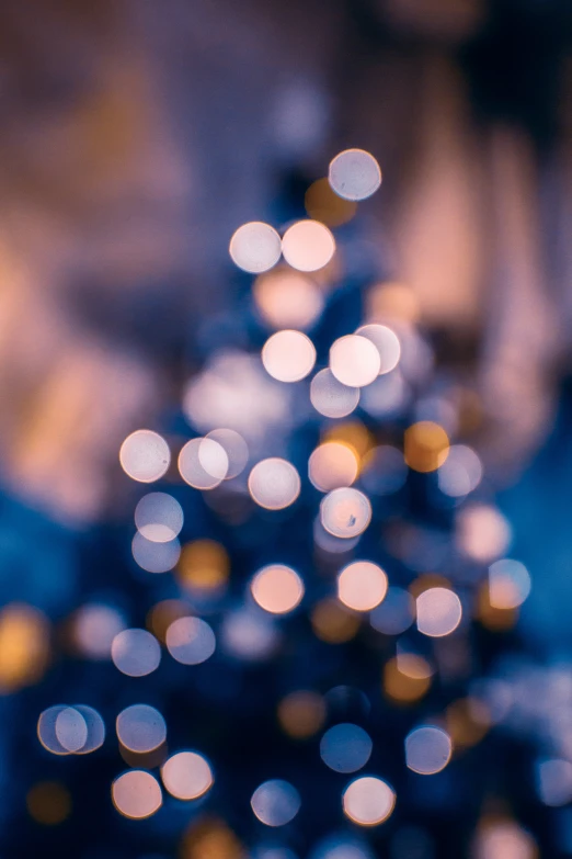 a blurred image of a small christmas tree