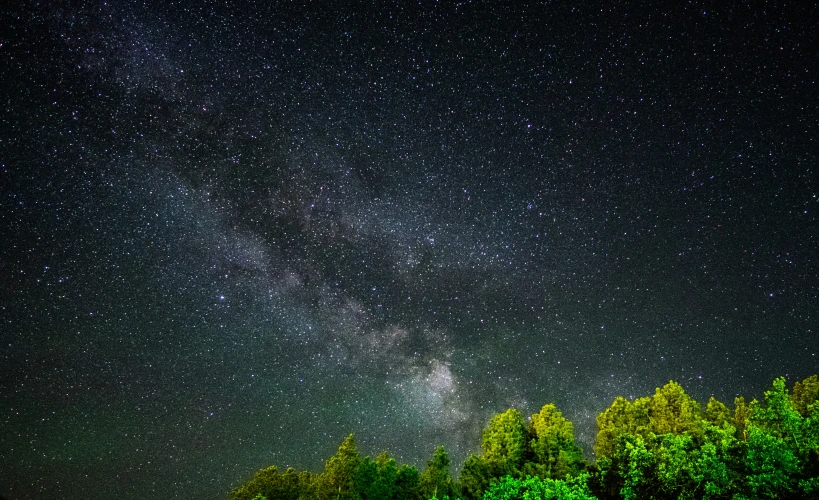 a dark blue sky with stars above trees