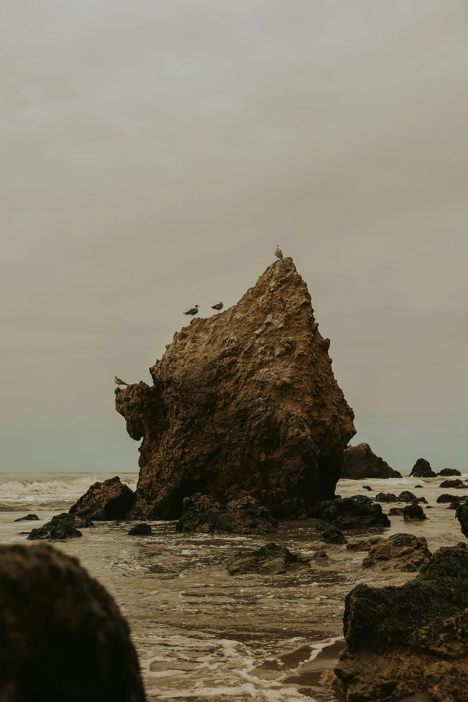 a rock out on the beach with birds perched atop it