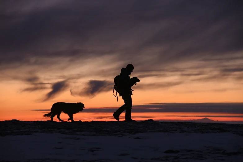 a man with a dog is walking on the snow