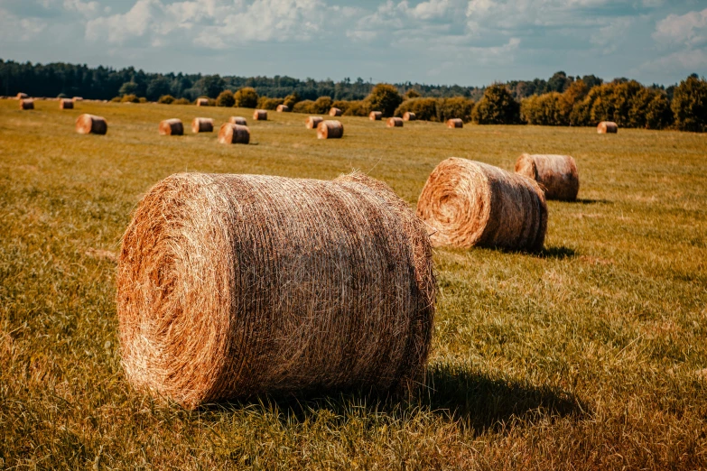 several bales of hay are sitting in the grass
