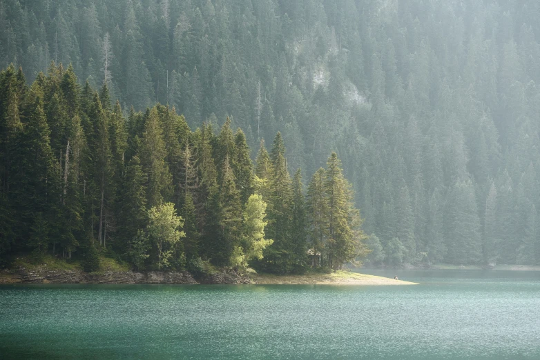 a tree covered lake in the middle of it