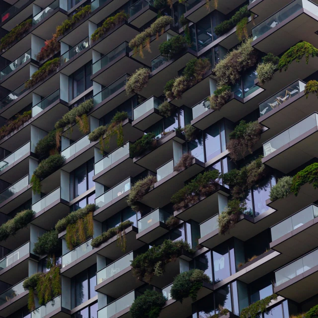 many windows filled with plants in front of them