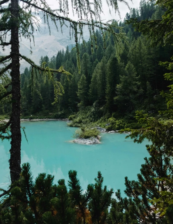 a body of blue water surrounded by pine trees