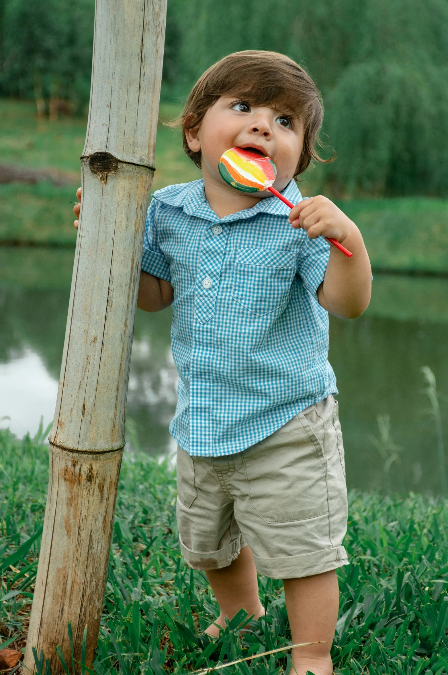 a  is chewing on a lollipop