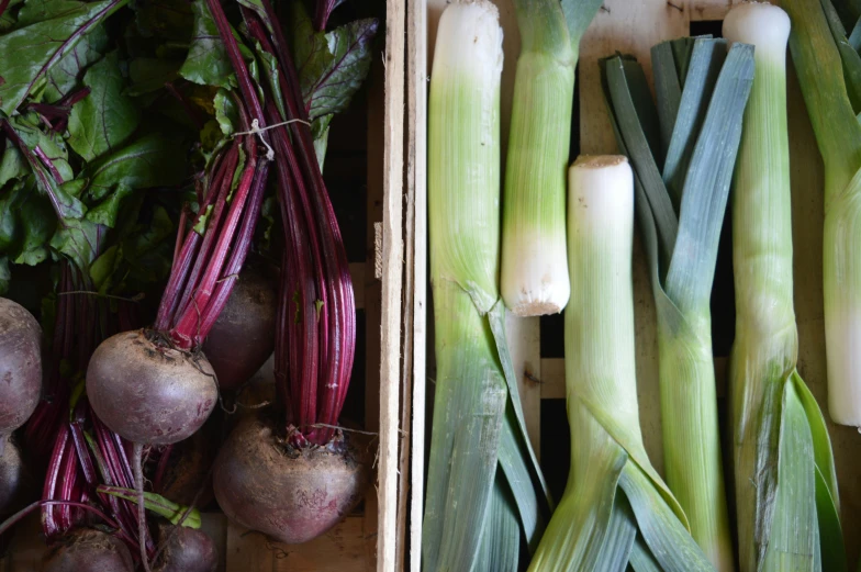 a collection of fresh vegetables including onions and greens