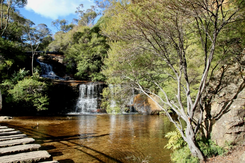 trees surrounding a river with a waterfall on top