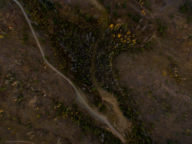 a bird eye view of a winding dirt road