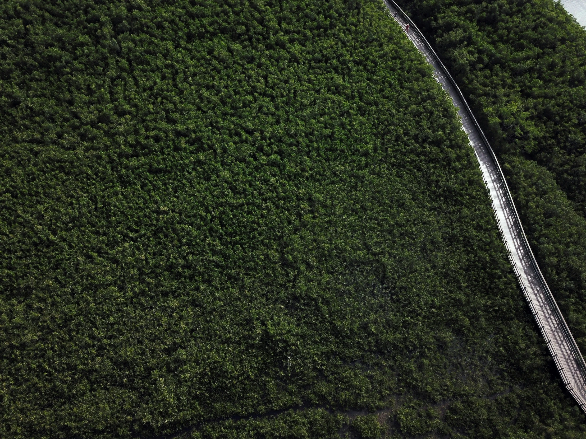 a long view of the road leading up to a tree line