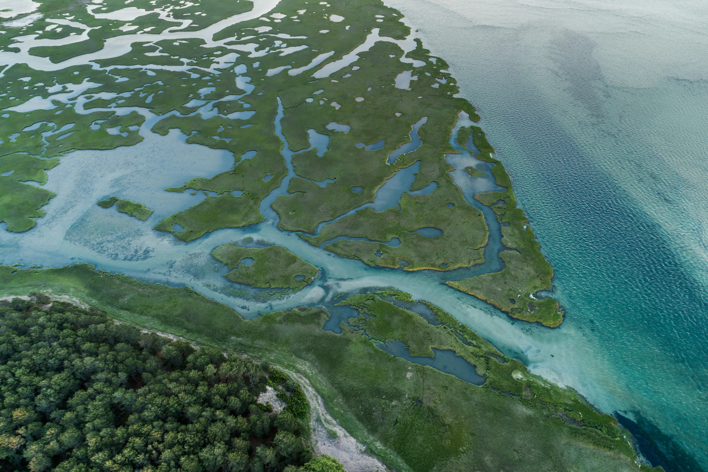 the aerial view of an island with several small streams of water running through it