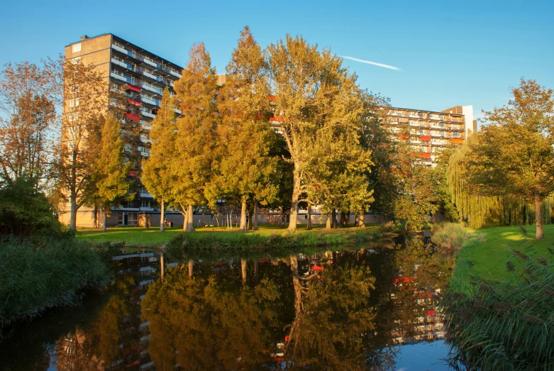 trees on the other side of the river near a building