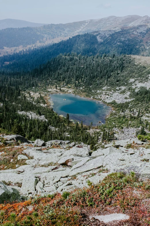 an area covered in white rocks and trees