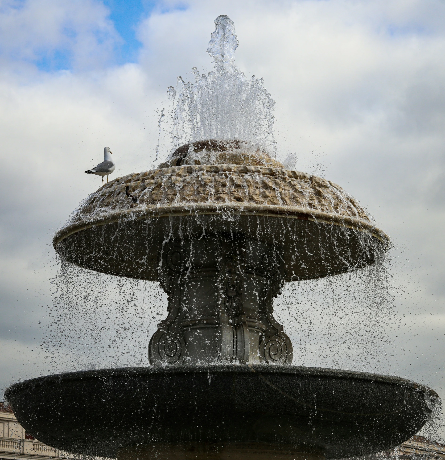 a bird is perched on the top of an intricate water fountain