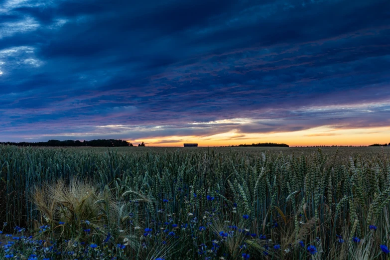 a sky line with a beautiful sunset over an open field