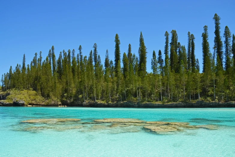 trees line the sides of some beautiful blue water