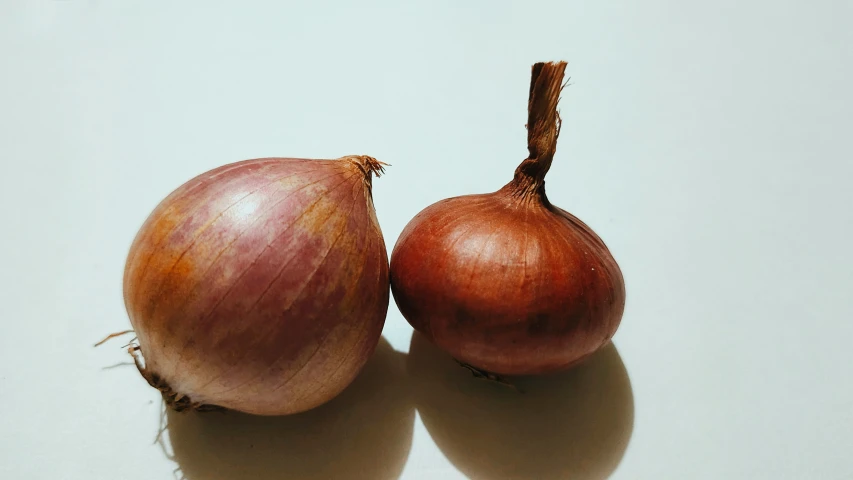 there is a pair of onions, one with brown coloring