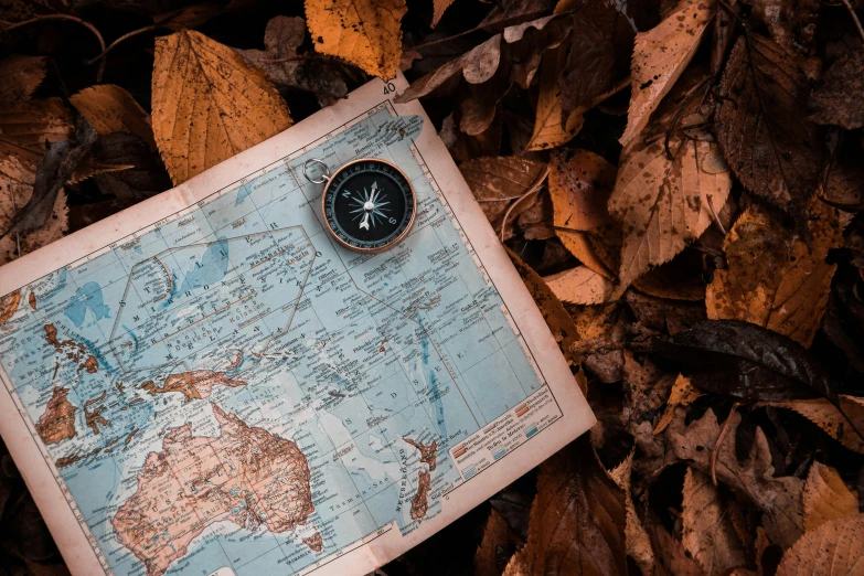 an old map with a compass lying on a bed of leaves