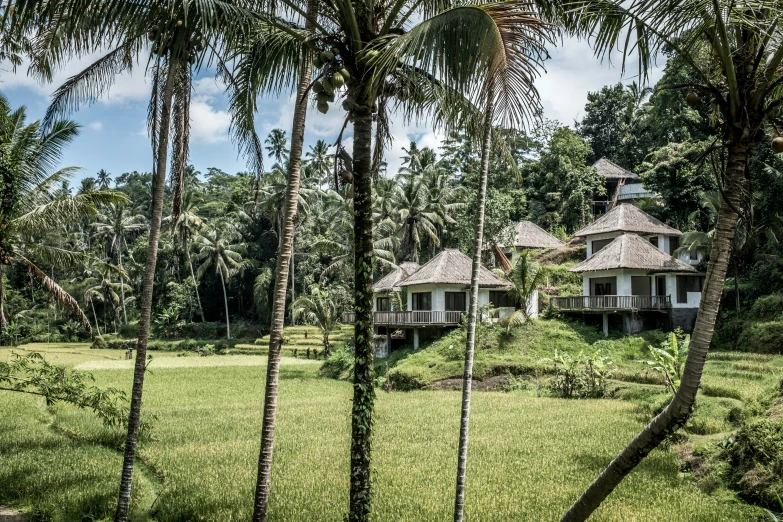 the large house is set on a hillside overlooking the trees