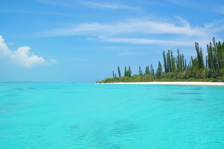 a body of water with a tree lined island