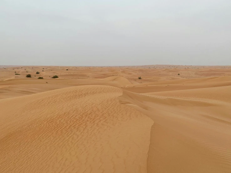 an open desert area with lots of sand dunes