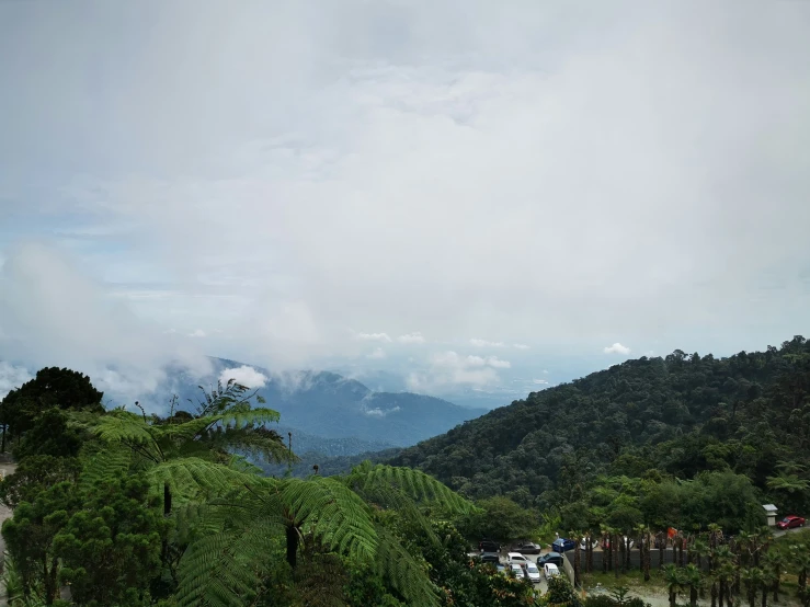 a scenic view over a wooded landscaped area