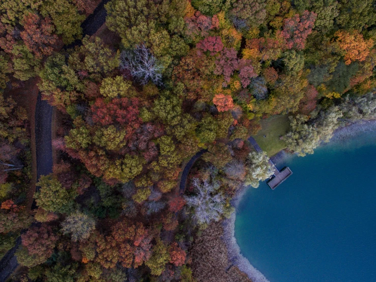 an aerial view of an empty lake surrounded by trees