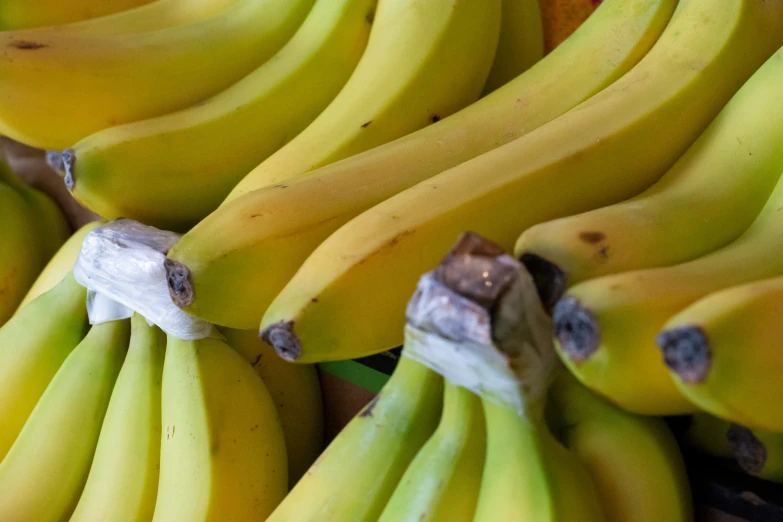 closeup of bananas and small brown dots