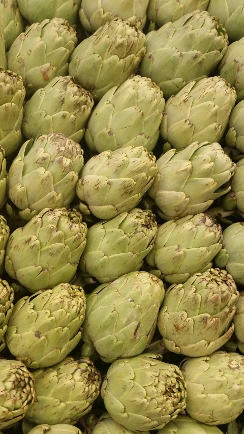 large group of artichokes ready for sale at market