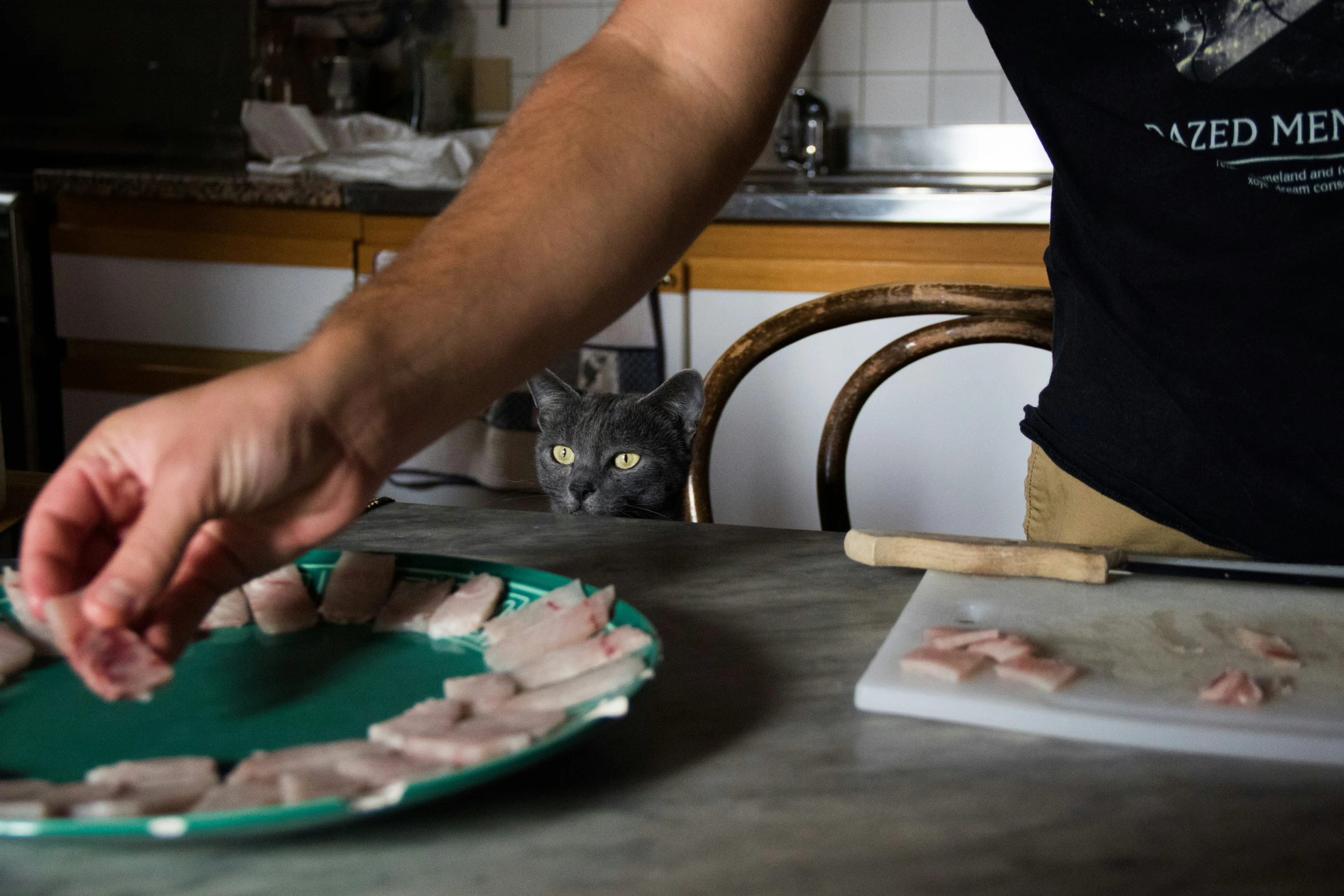 a person puts meat on a plate next to a cat