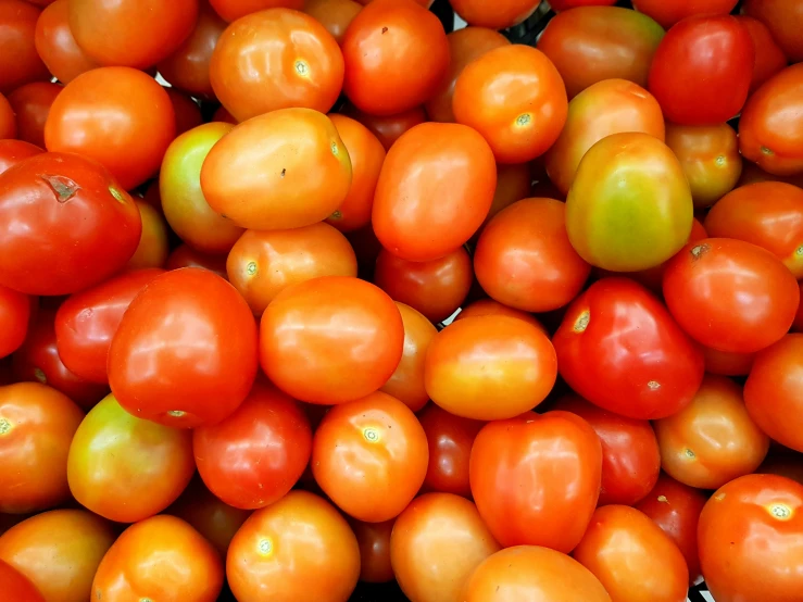 a bunch of tomatoes with green apples on them