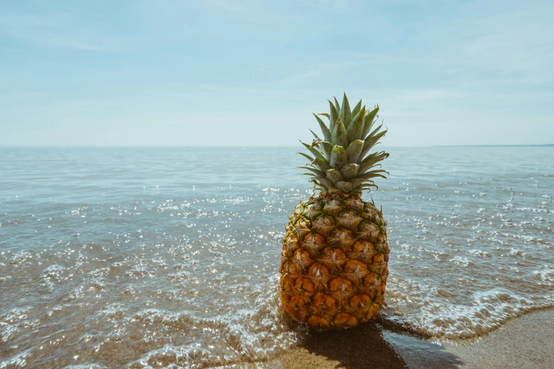 a pineapple is standing in the sand near the ocean