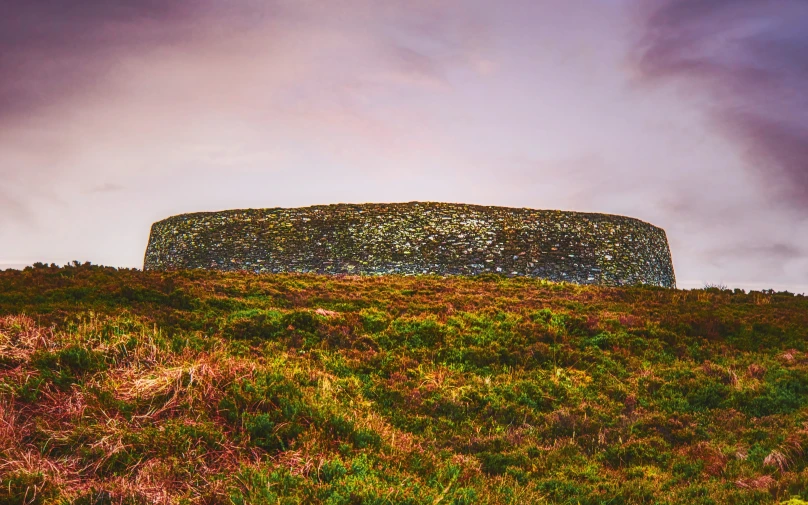 an artistic building on top of a hill with grass