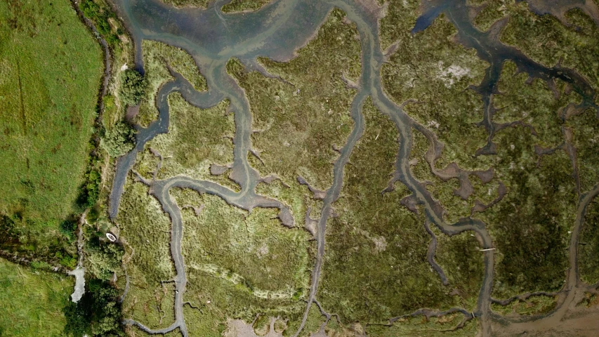 a satellite view shows an area that is very green