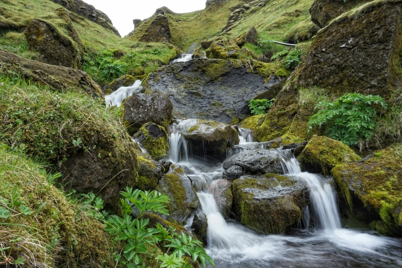 there is a small stream running through the green grass