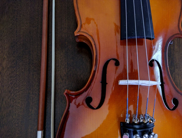 a close up of the back end of a violin