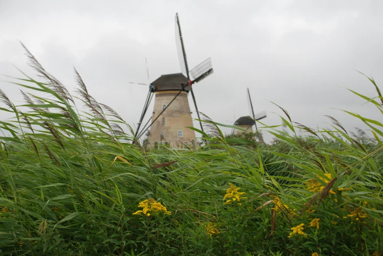 a wind mill standing on top of a field