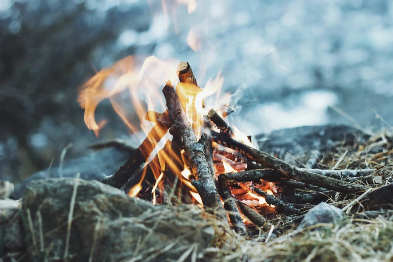 the fire is blazing and glowing brightly, in the background are some nches