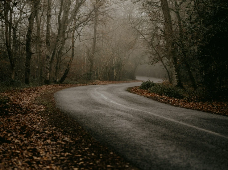 an open road is shown through some trees