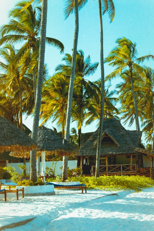 a small hut is shown in the center of palm trees