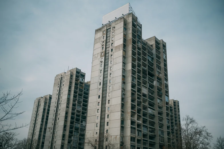 two tall apartment buildings are in front of a tree