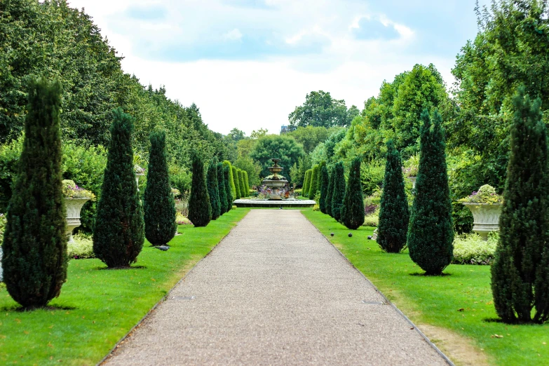 the pathway between trees leads to a formal garden